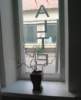 Photo Number 6